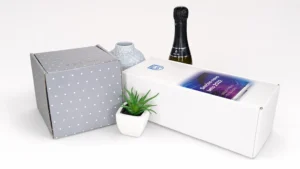 Škatla z zatiči – primer izvedbe 3